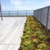 24 x 24 Ipe Deck Tiles by Skydeck USA (In stock for immediate shipment!) - Image 16