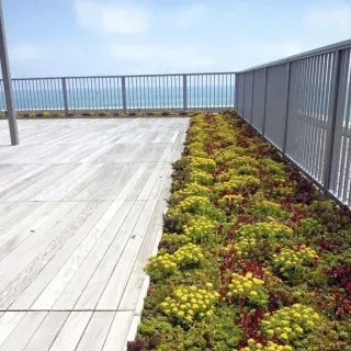 24 x 24 Ipe Deck Tiles by Skydeck USA (In stock for immediate shipment!) - Image 16