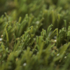 Comfort Turf by Skydeck USA - close up