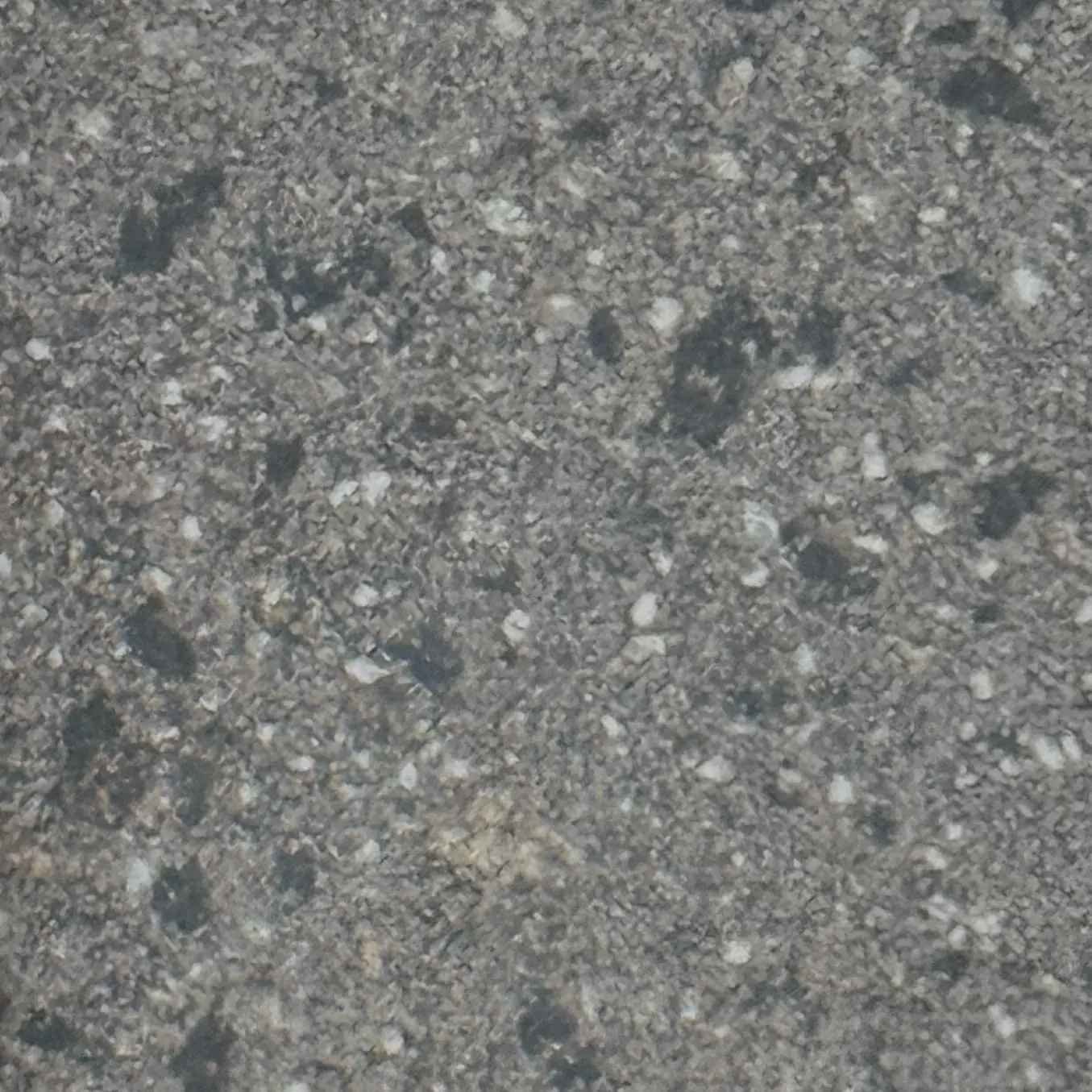 Terrazzo Charcoal 2cm Porcelain Paver - Terrazzo Series
