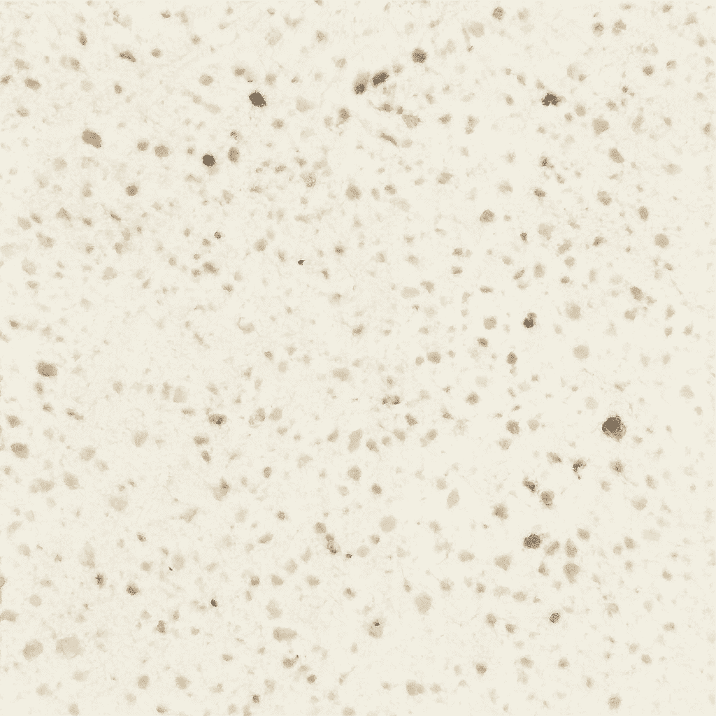 Terrazzo Cool White 2cm Porcelain Paver - Terrazzo Series by Skydeck USA