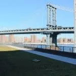 6th-floor-green-roof-ne-side