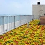 aga-beautiful-green-roof