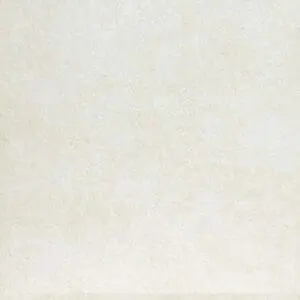 Coral Reef SkyWalk Porcelain Roof Paver