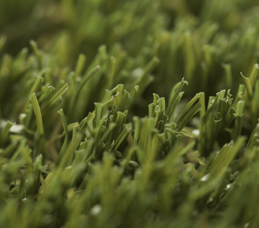 Comfort Turf by Skydeck USA - close up