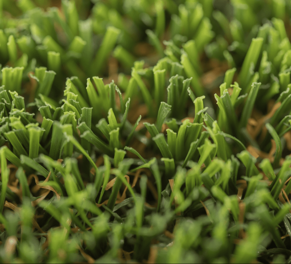 Premium Pet Turf by Skydeck USA - Close Up