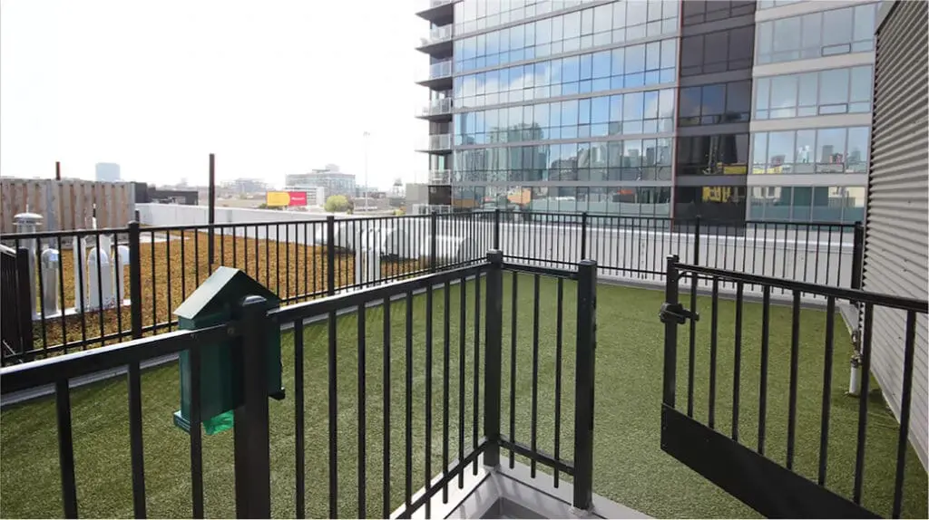 creative rooftop deck design - rooftop dog park