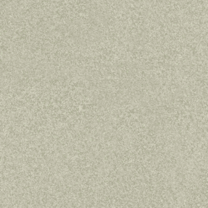 Monochrome Bone - Earth Series Porcelain Paver (Sample)